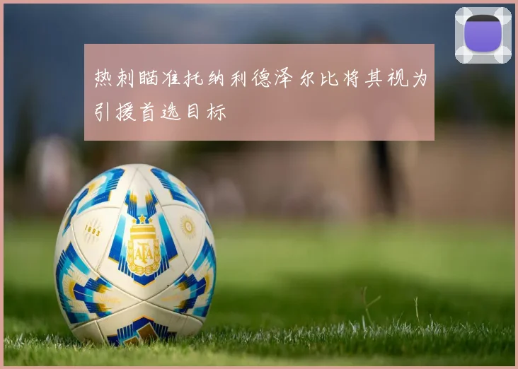 热刺瞄准托纳利德泽尔比将其视为引援首选目标