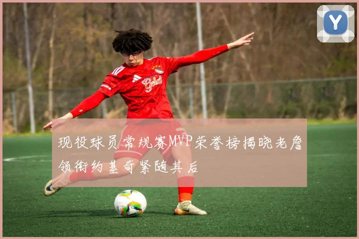 现役球员常规赛MVP荣誉榜揭晓老詹领衔约基奇紧随其后